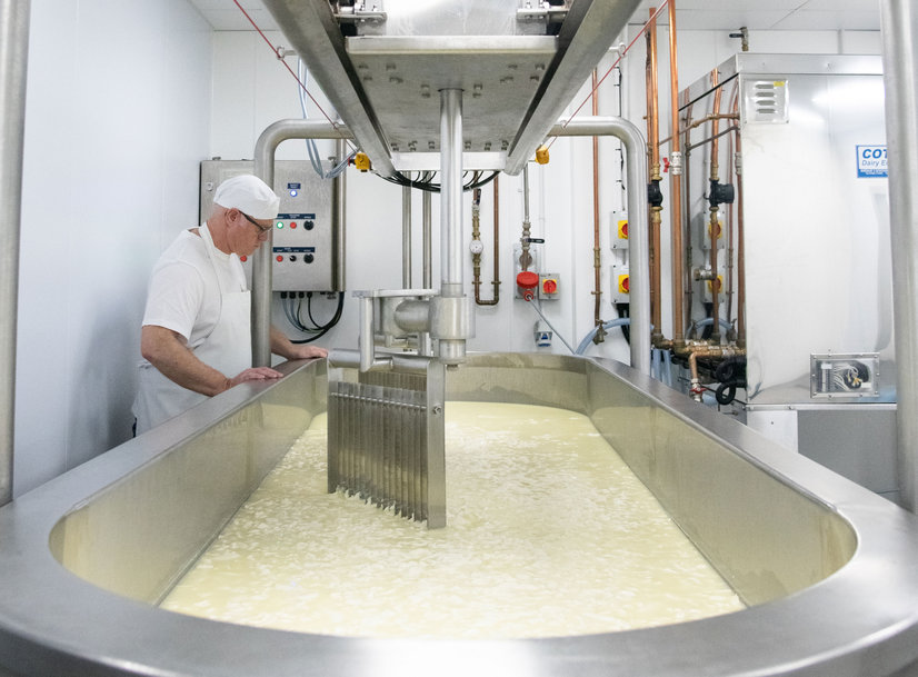 Nuevo informe revela cómo mejorar el rendimiento en la producción láctea